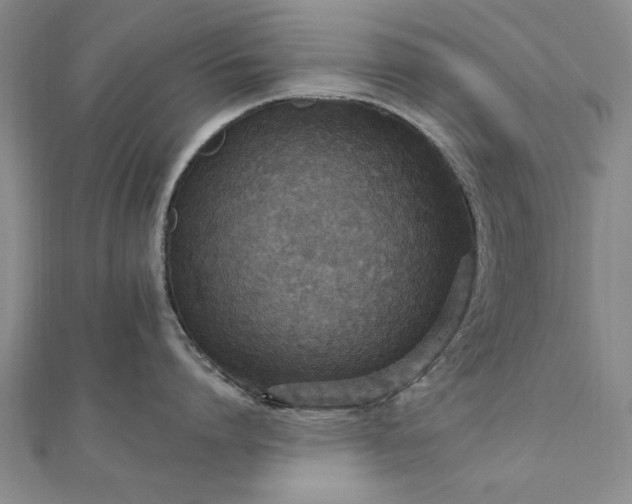 X0000111910864200908031136