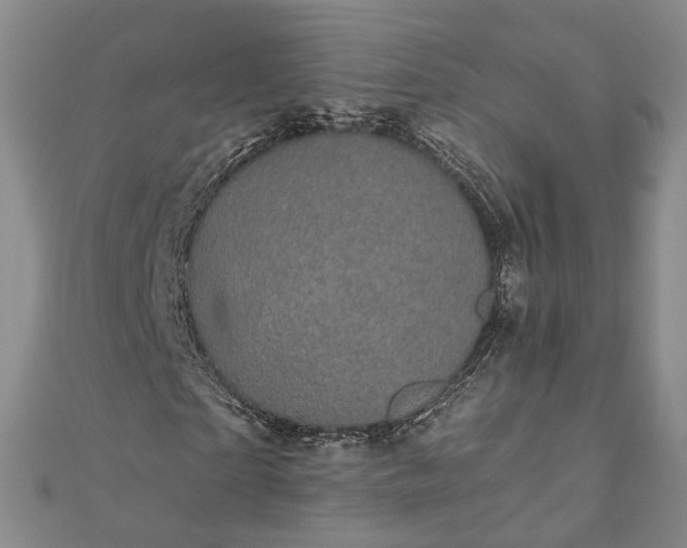 X0000111910865200908031135