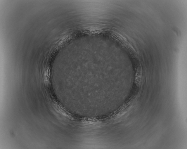 X0000111910866200908031135