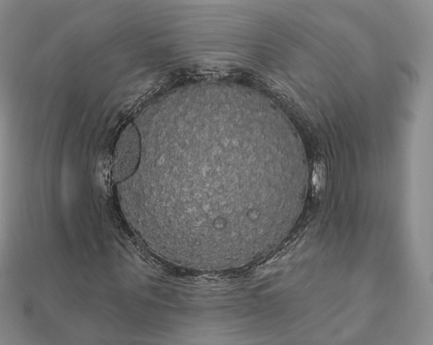 X0000111910867200908031135