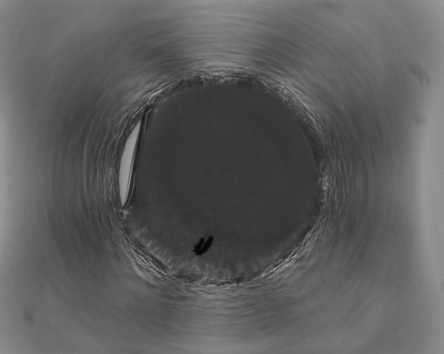 X0000111910868200908031135