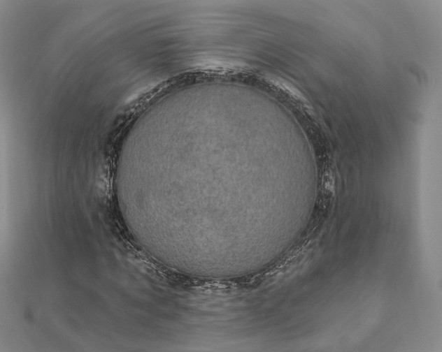 X0000111910869200908031135