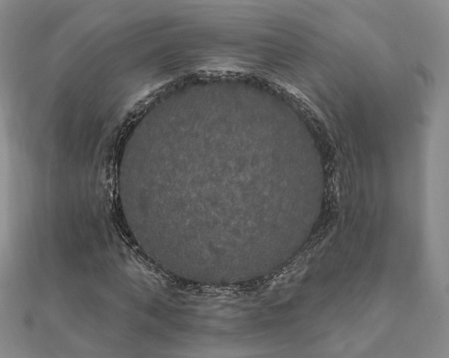 X0000111910870200908031135