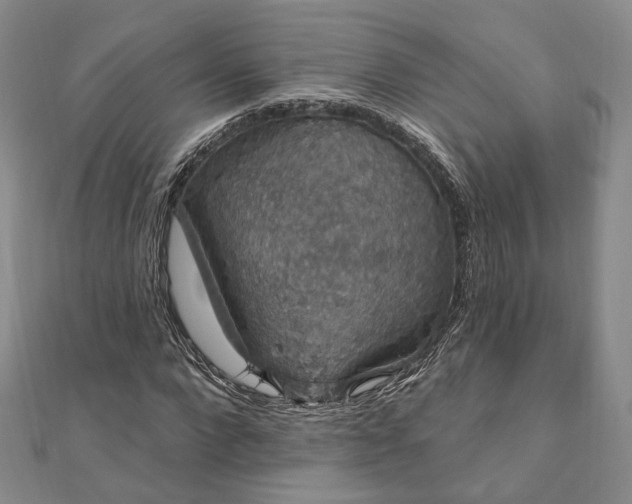 X0000111910872200908031135