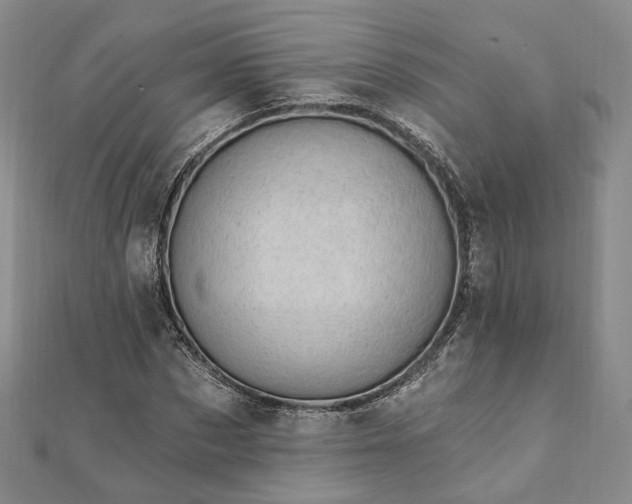 X0000111910873200908031135