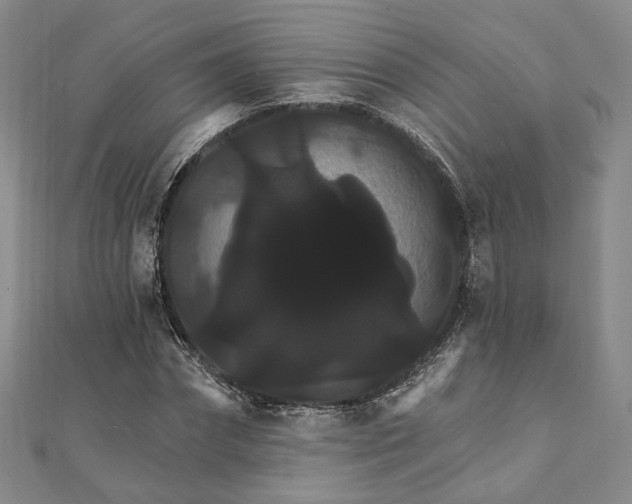 X0000111910874200908031135