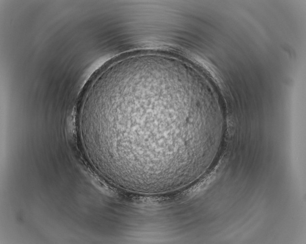 X0000111910875200908031135