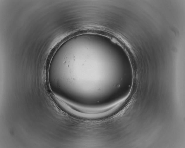 X0000111910877200908031135