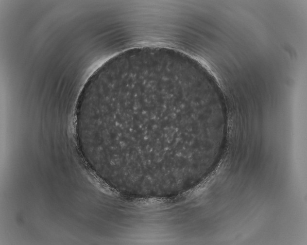 X0000111910879200908031135