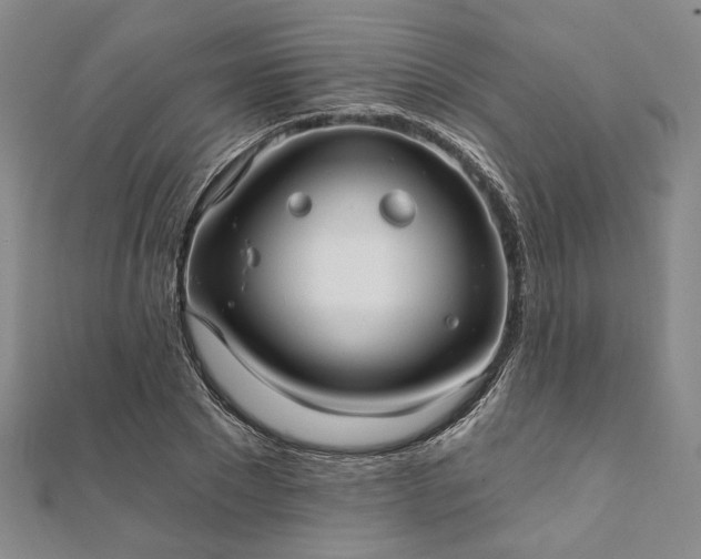 X0000111910881200908031135