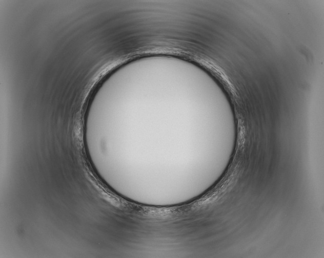 X0000111910882200908031135
