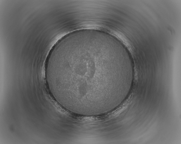 X0000111910883200908031135