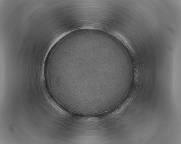 X0000111910884200908031135