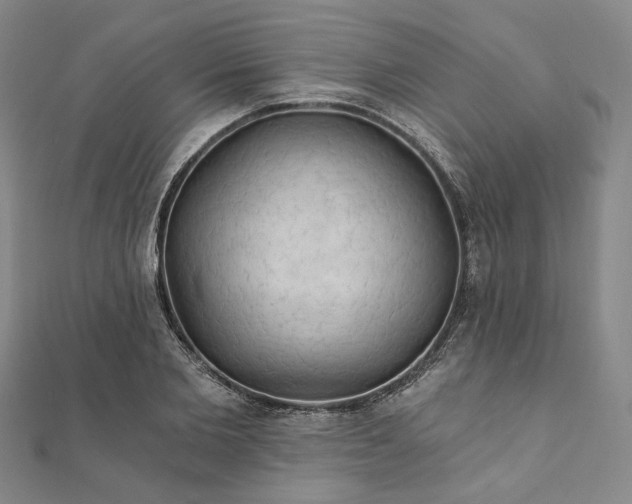 X0000111910885200908031135