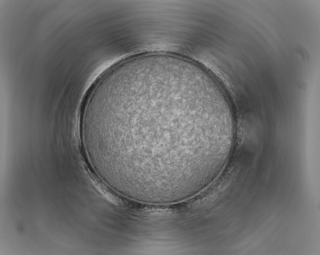 X0000111910886200908031135
