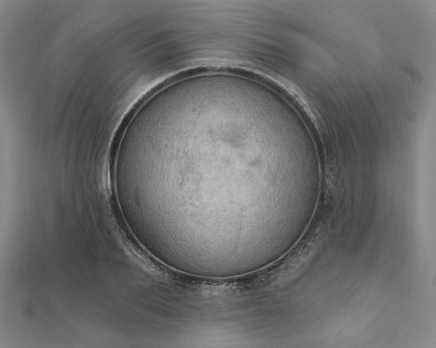 X0000111910887200908031135