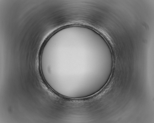 X0000111910888200908031135