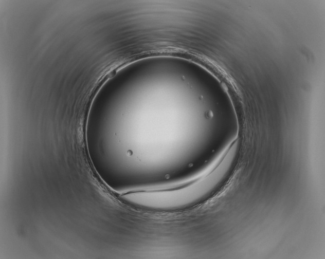 X0000111910889200908031135