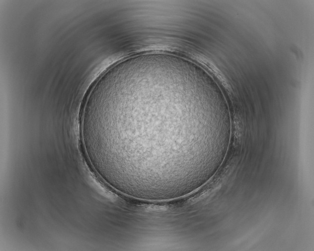 X0000111910890200908031135
