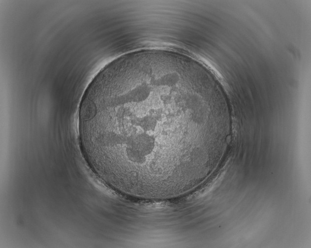 X0000111910891200908031135