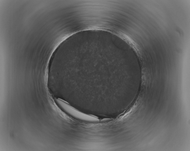 X0000111910892200908031135
