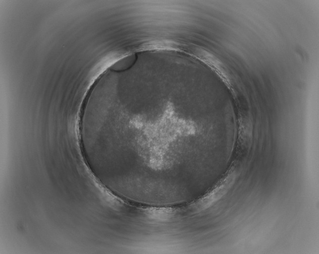 X0000111910893200908031135