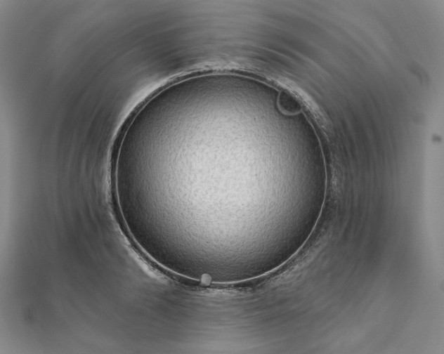 X0000111910894200908031135