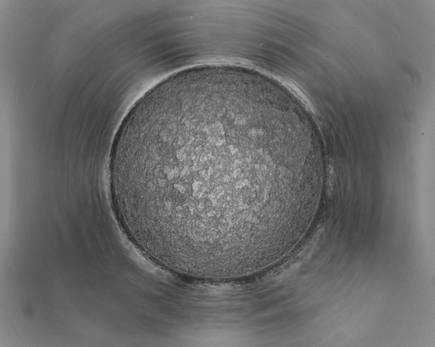 X0000111910895200908031135