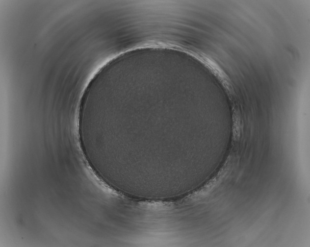 X0000111910896200908031135