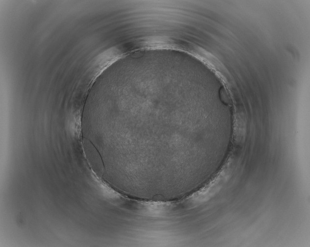 X0000111910897200908031135