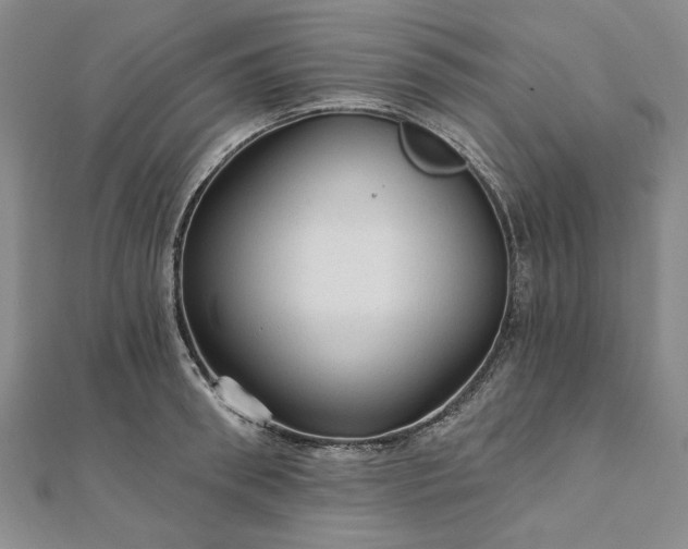 X0000111910898200908031135