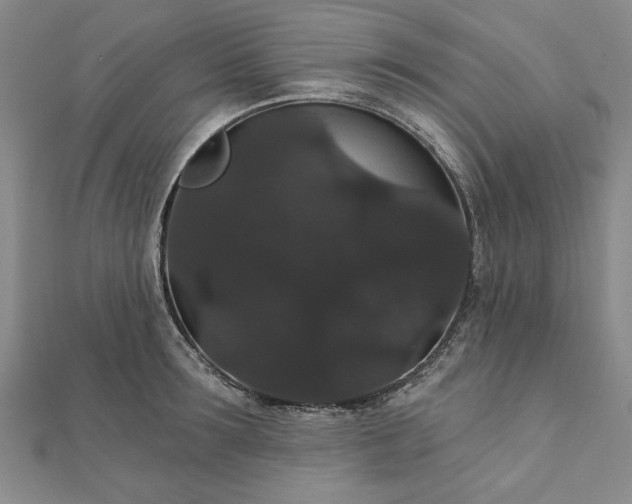 X0000111910899200908031135