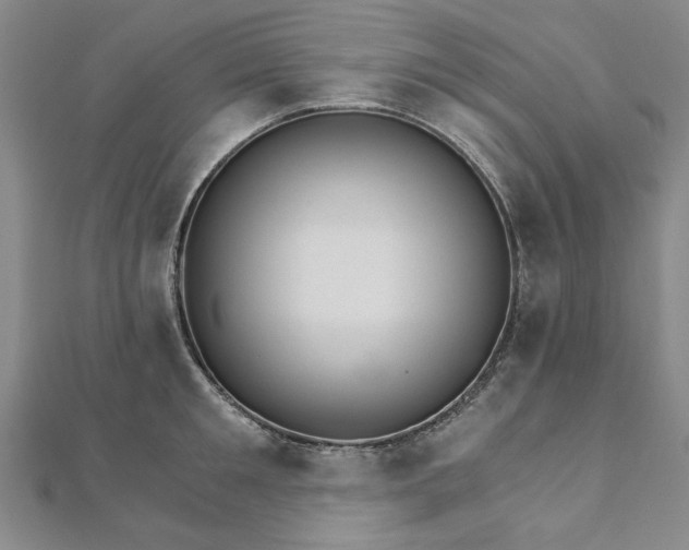 X0000111910901200908031135