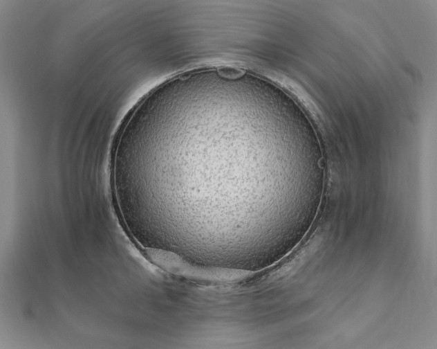 X0000111910902200908031135