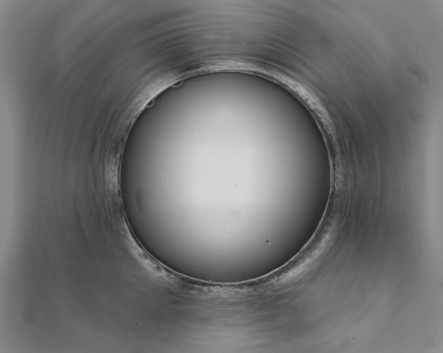 X0000111910905200908031135