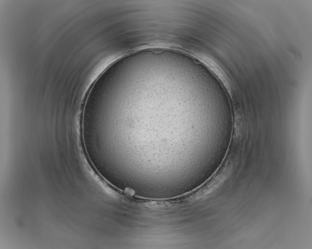 X0000111910906200908031135