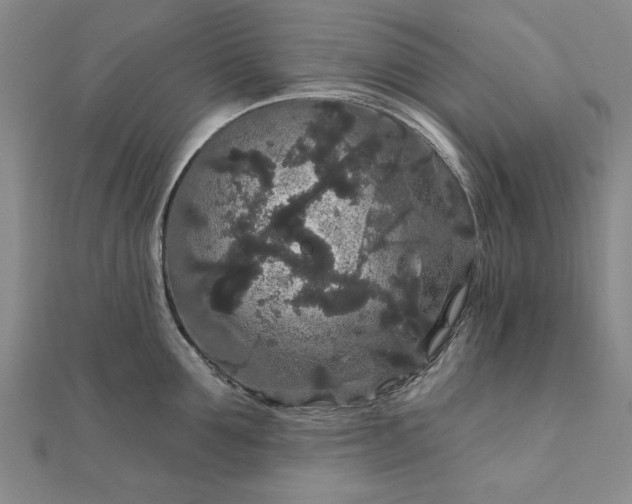 X0000111910907200908031135