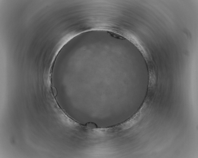 X0000111910908200908031135