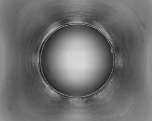 X0000111910909200908031135