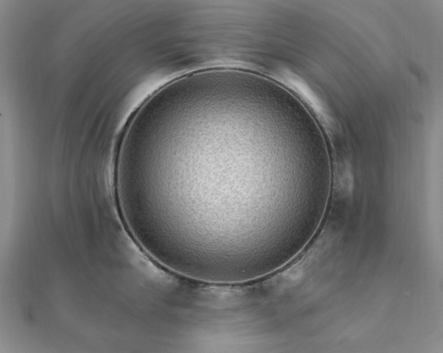 X0000111910910200908031135