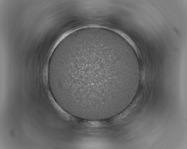 X0000111910911200908031135