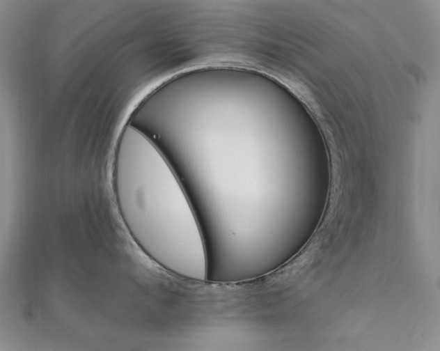 X0000111910912200908031135