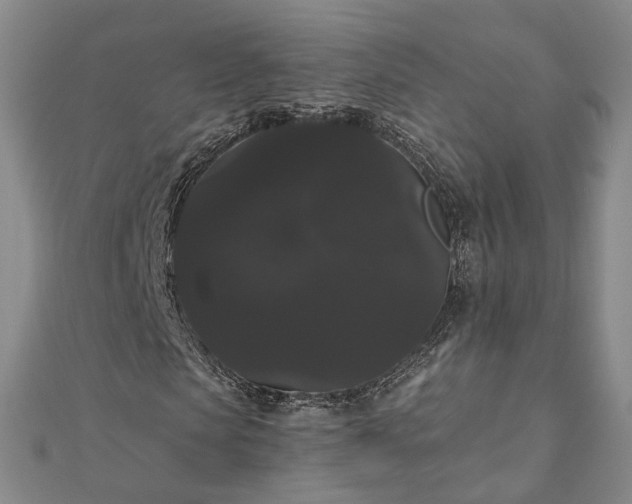 X0000111910913200908031134