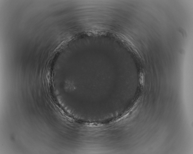 X0000111910915200908031134