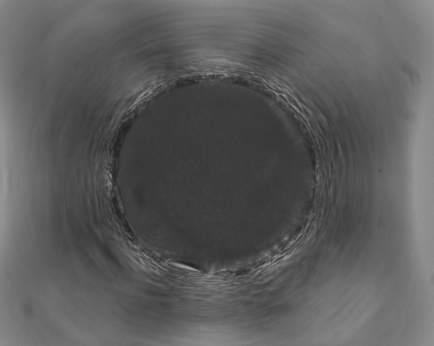X0000111910916200908031134