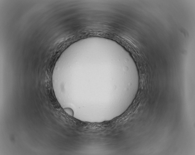 X0000111910917200908031134