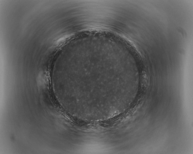 X0000111910918200908031134