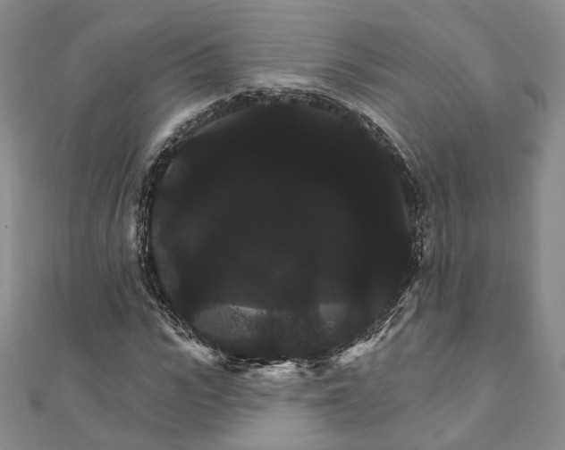 X0000111910919200908031134