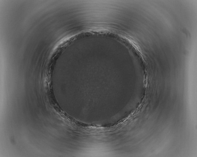 X0000111910920200908031134