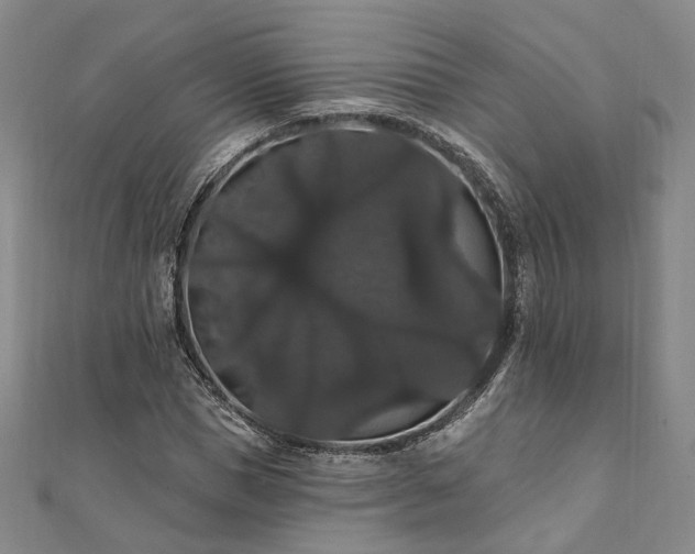 X0000111910921200908031134